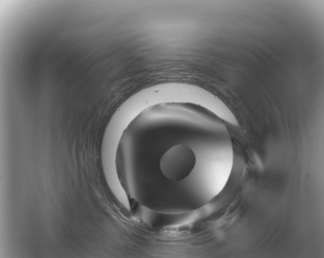 X0000062140380200512121248