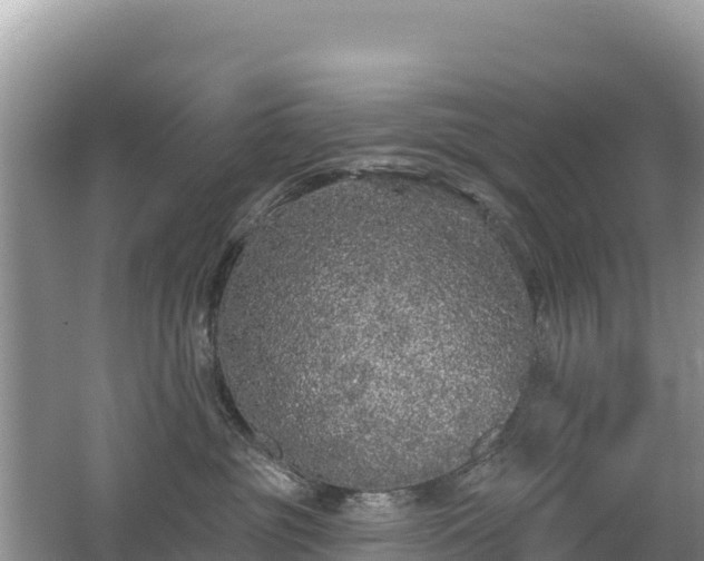 X0000062140381200512121248