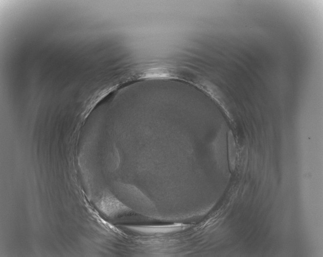 X0000062140385200512121247