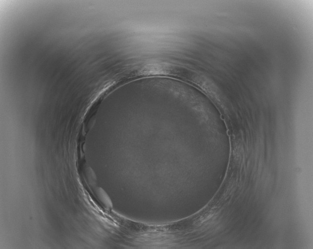 X0000062140386200512121247