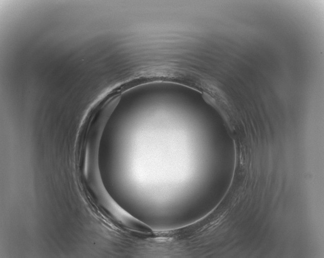 X0000062140388200512121247