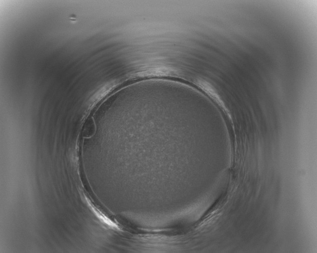 X0000062140389200512121247