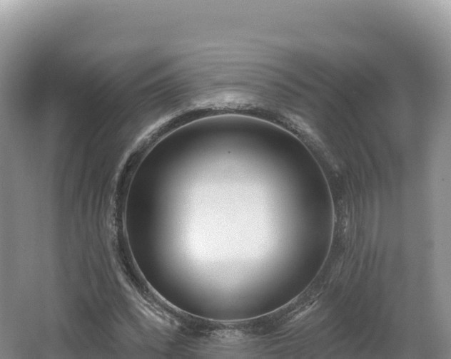 X0000062140392200512121247