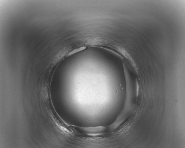 X0000062140393200512121247