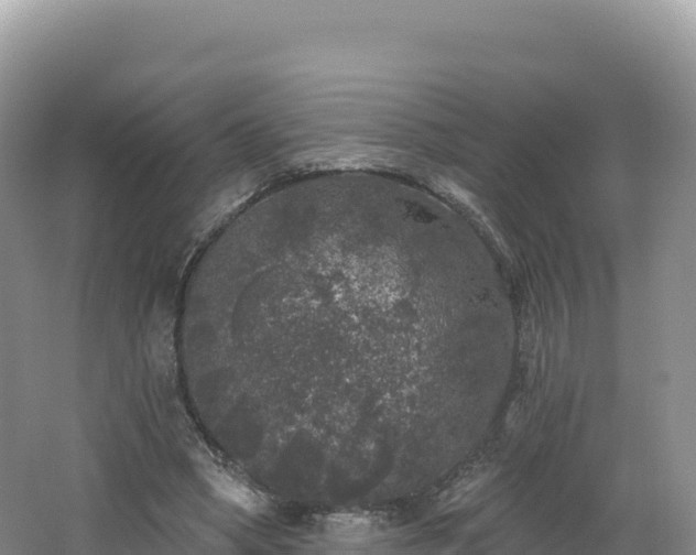 X0000062140394200512121247