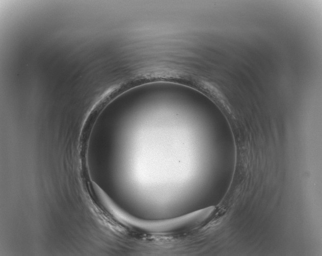 X0000062140395200512121247