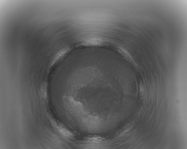 X0000062140396200512121247