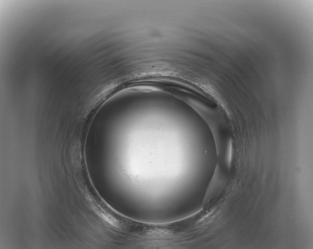 X0000062140397200512121247