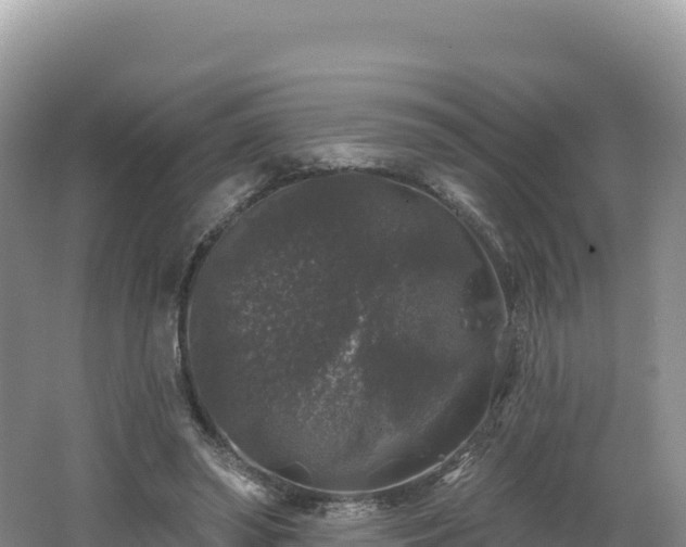 X0000062140398200512121247