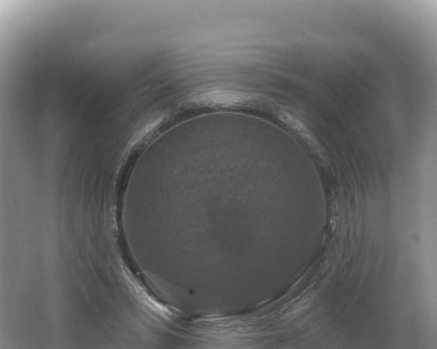 X0000062140399200512121247