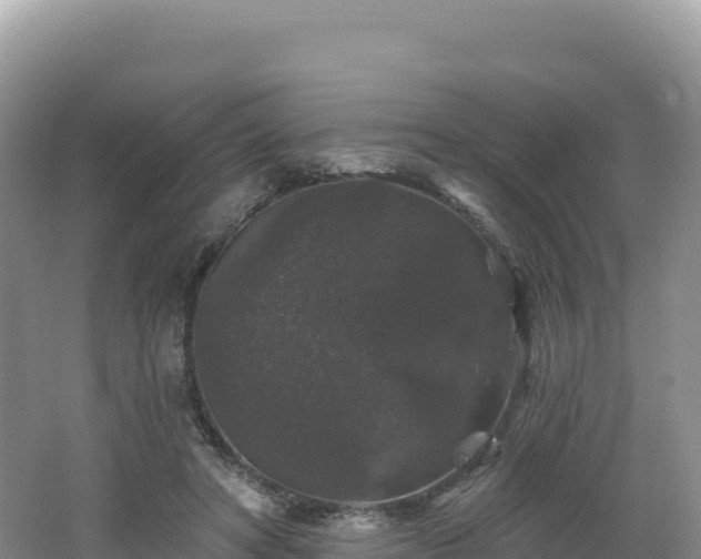 X0000062140402200512121247