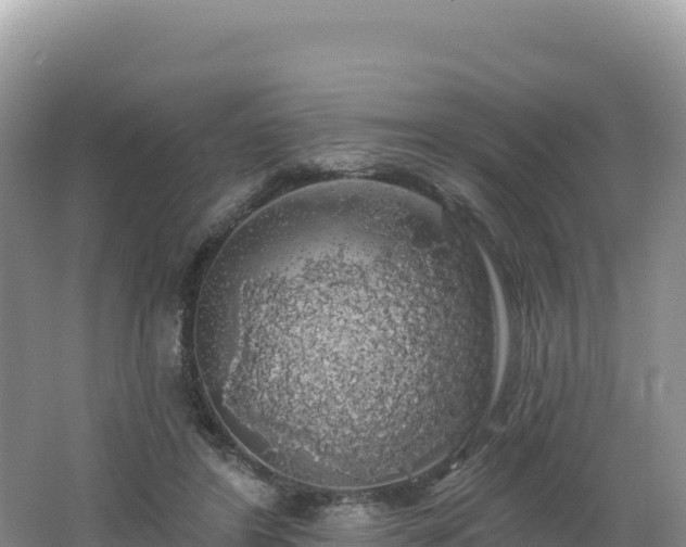 X0000062140404200512121247