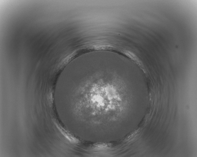 X0000062140405200512121247