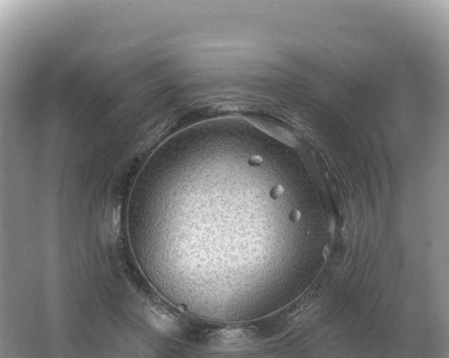 X0000062140406200512121247