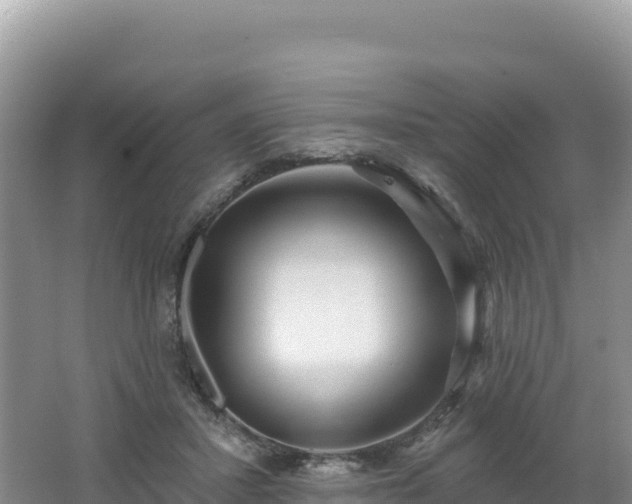 X0000062140407200512121247