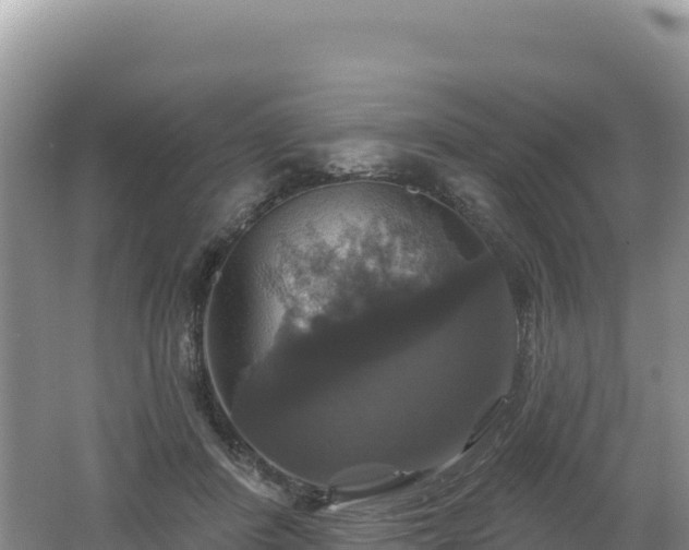 X0000062140408200512121247