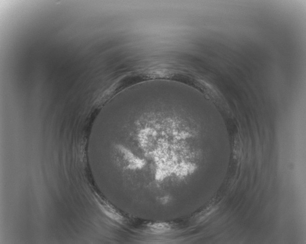 X0000062140409200512121247