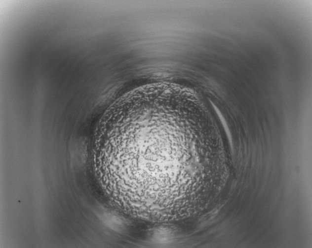 X0000062140412200512121247