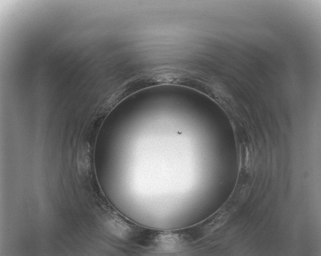 X0000062140413200512121246