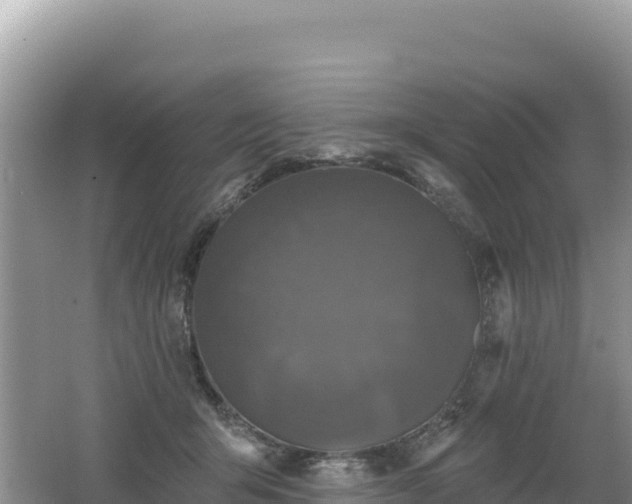 X0000062140415200512121246