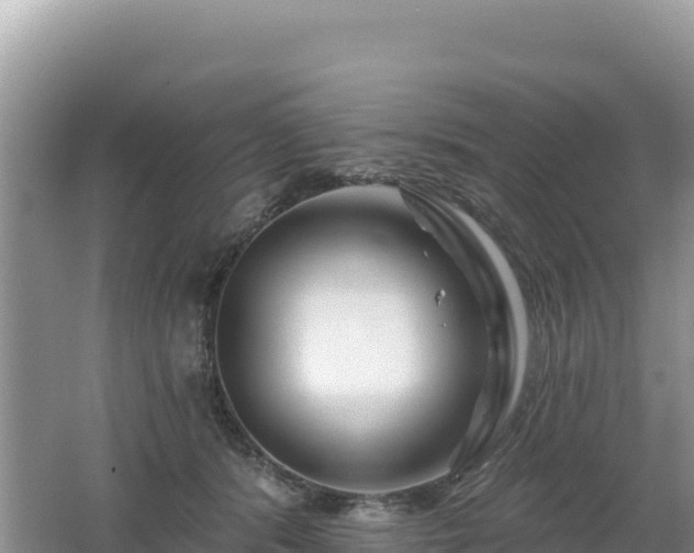 X0000062140416200512121246