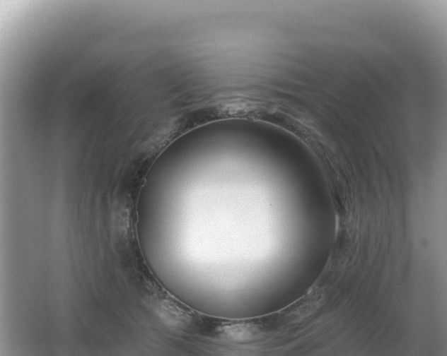 X0000062140417200512121246