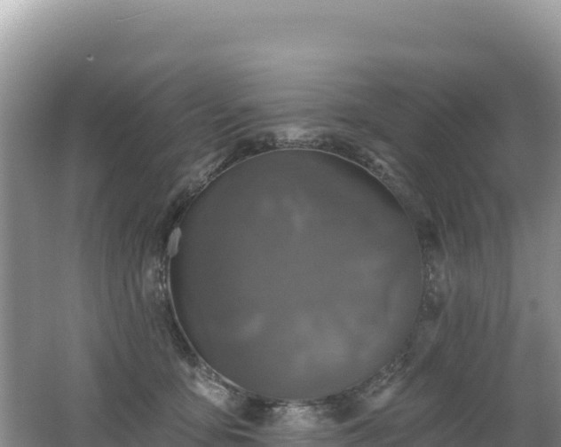 X0000062140419200512121246