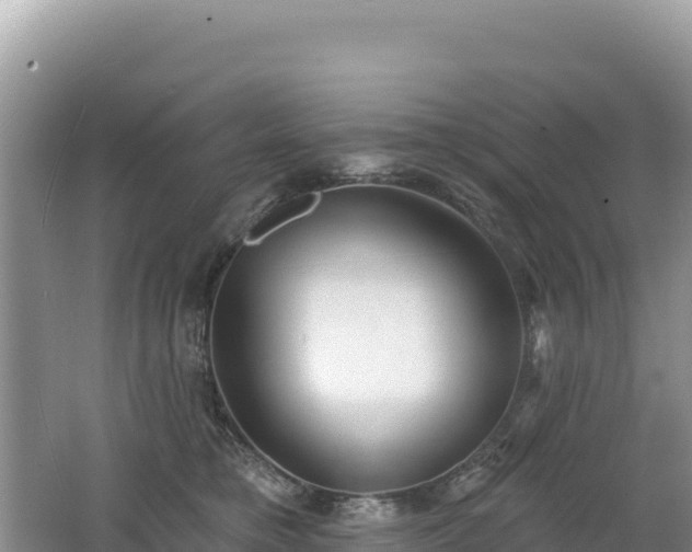 X0000062140421200512121246