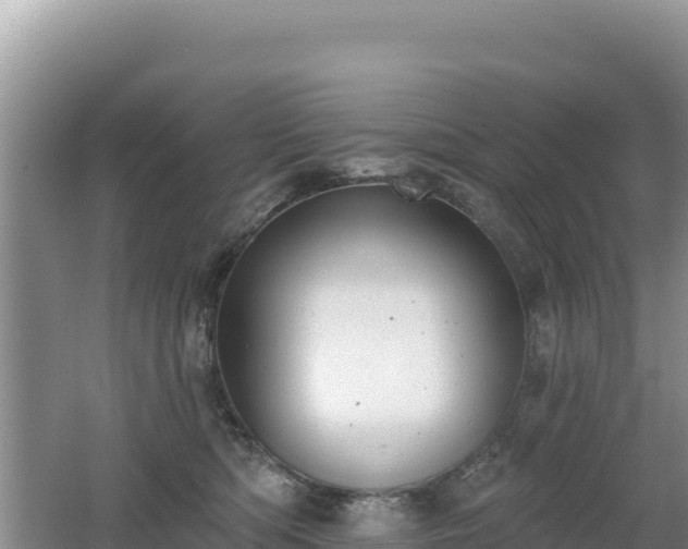 X0000062140422200512121246