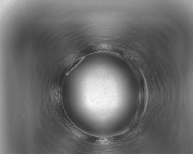 X0000062140425200512121246