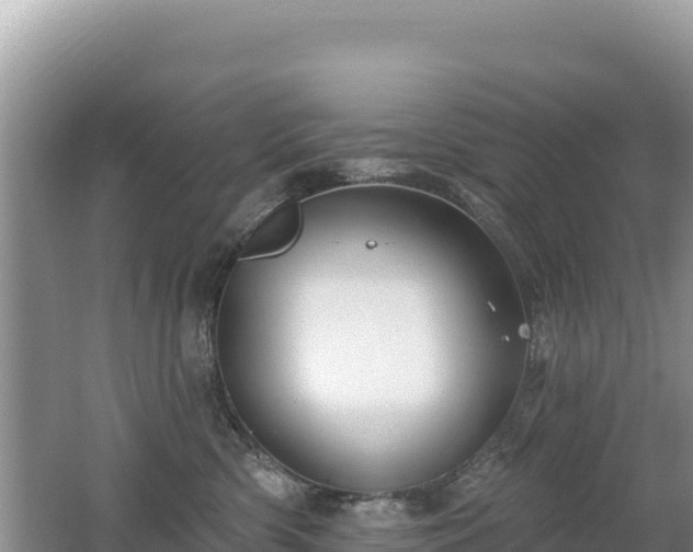 X0000062140426200512121246