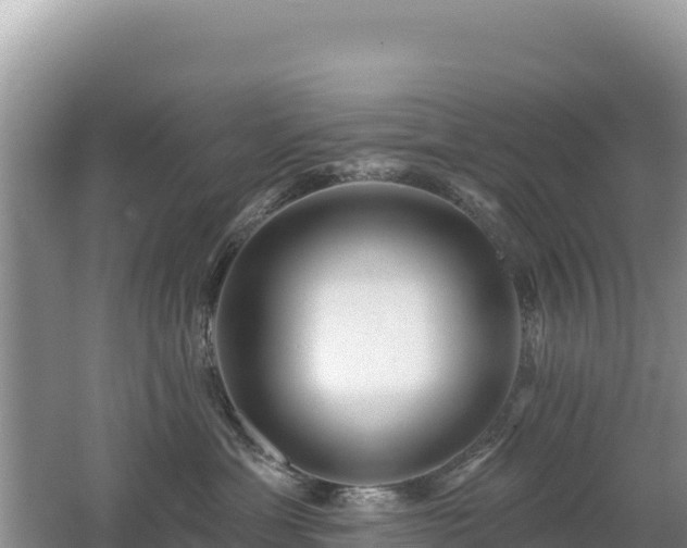 X0000062140429200512121246