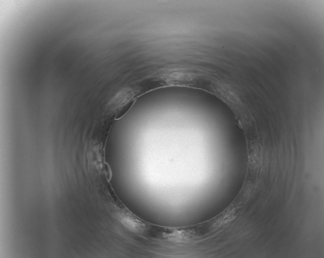 X0000062140430200512121246