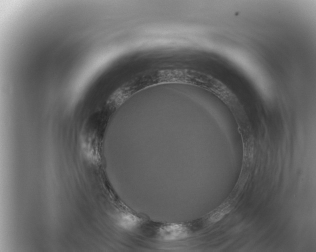 X0000062140431200512121246