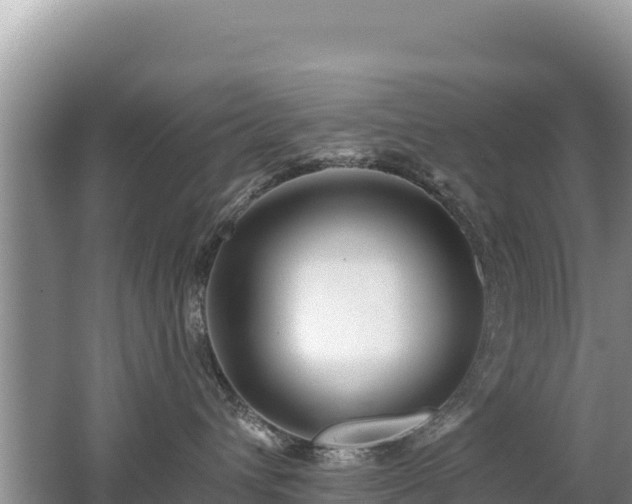 X0000062140432200512121246