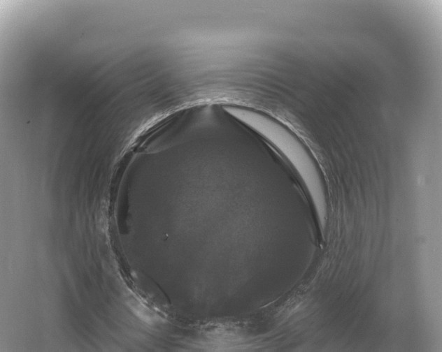 X0000062140434200512121245