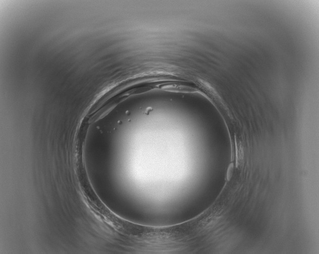 X0000062140435200512121245