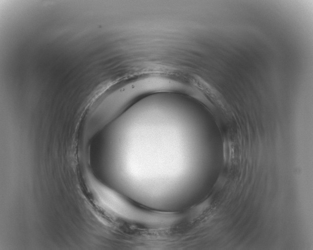 X0000062140436200512121245