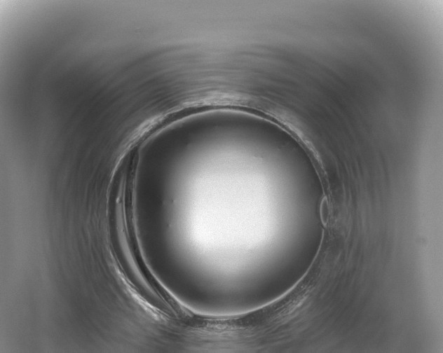 X0000062140437200512121245