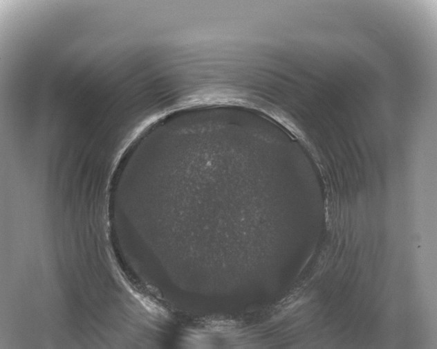 X0000062140438200512121245