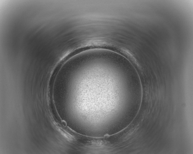 X0000062140439200512121245