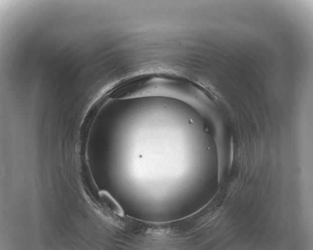 X0000062140440200512121245