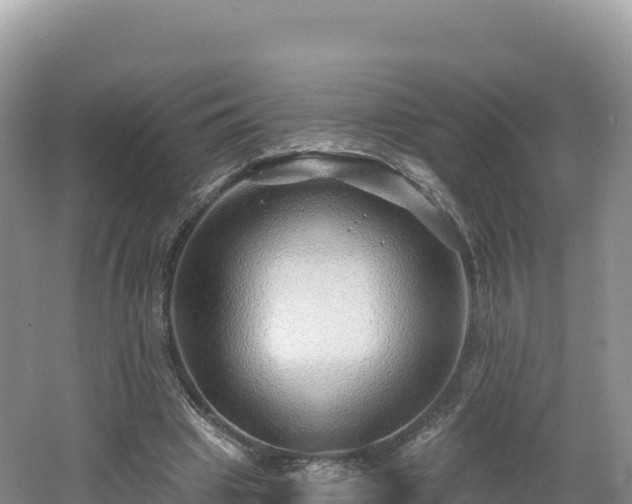 X0000062140441200512121245