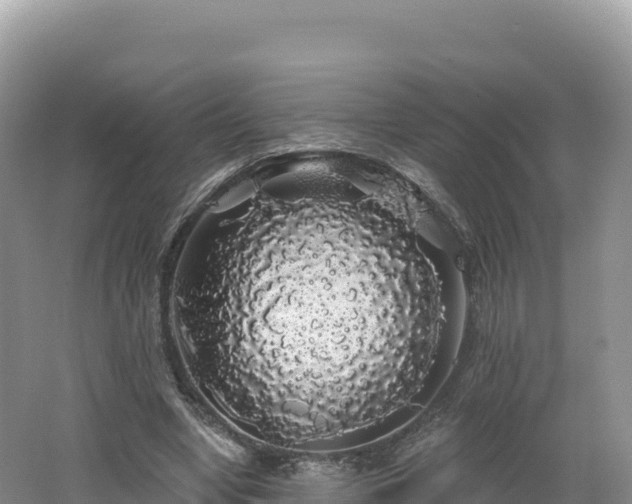 X0000062140442200512121246