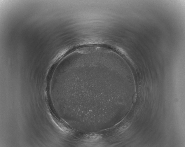 X0000062140443200512121246