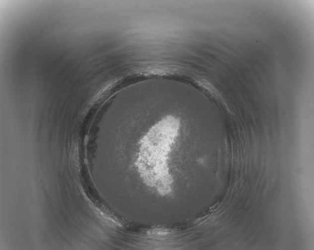 X0000062140444200512121246