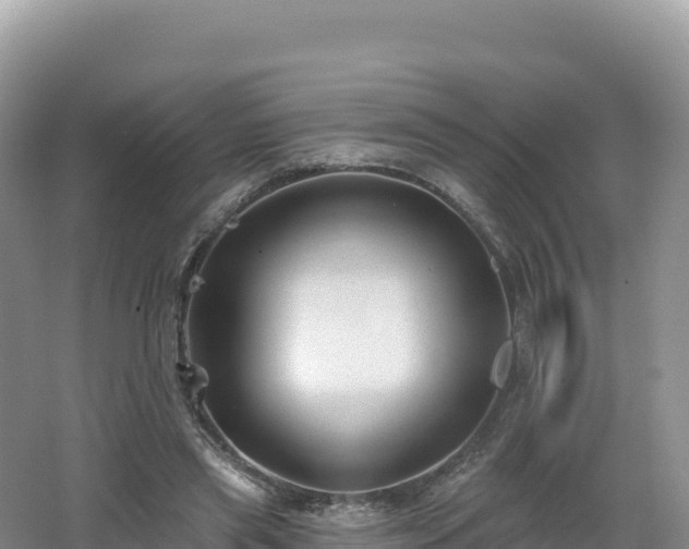 X0000062140445200512121246