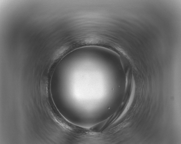 X0000062140446200512121246