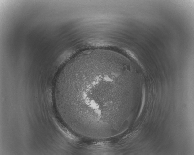 X0000062140447200512121246