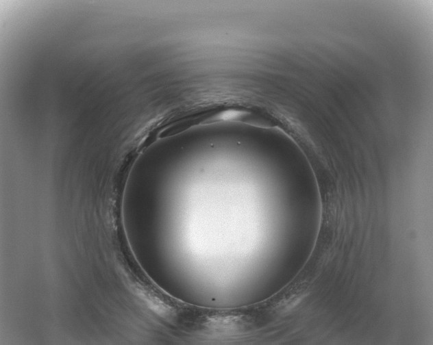 X0000062140450200512121246